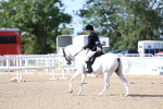 SBM_17613