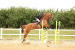 SBM_009899