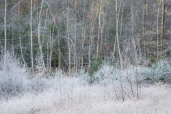 Winters first morning