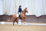 SBM_008239