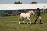 SBM_06970