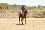 SBM_003582