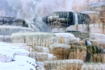 Mammoth Hot Springs winter close-up, Yellowstone National Park