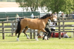 SBM_02079