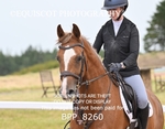 BPP_8260