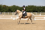 SBM_005054