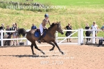BPP_1700