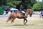 WJ7_3639