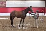BPP_1848