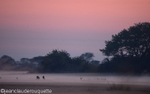 Gorgeous sunrise on the Busanga plains