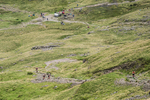Borrowdale-69