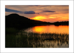 Lough Callow sunset-1316