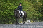 WJ5_9917