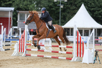 Pendarves Summer Series Showjumping 20.08.2025 portfolio