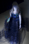 Metamorphosis portfolio