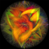 Chakra Dance