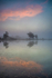 Whitten Pond Dawn