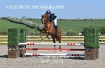 BPP_7973