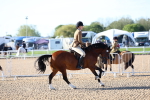 SBM_08754