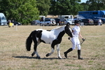WJ6_8601