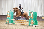 Show Jumping - 25-7-26 portfolio