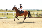 SBM_001665