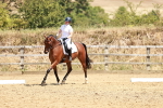 SBM_002865