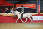 SBM_09521