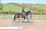 BPP_8556