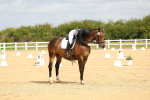 SBM_015679