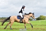 442-BICTON.INCREDIBLY.DUN-millie.jo.challinor-SC+XC portfolio
