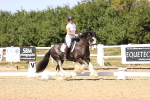SBM_012282
