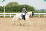 SBM_004613