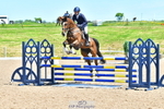 Cls 15 Foxhunter portfolio