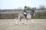 SBM_007963