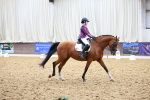 SBM_020479