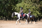 WJ6_8189