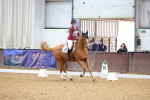SBM_002650