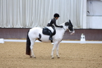 SBM_001336