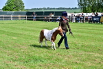 SBM_03460