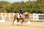 SBM_017586