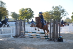 SBM_13953