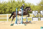 SBM_002663