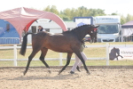 SBM_06837