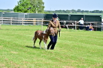 SBM_03586