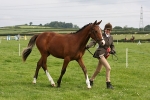 JMB_1439