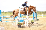 SBM_001875