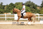 SBM_004898