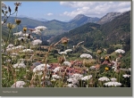 Northern Spain Rural 1