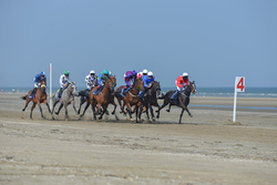Laytown Races